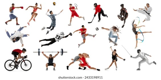 [排球]上海女子坐式排球队实现四连冠